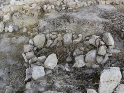 Yacimiento de la Almoloya 2023